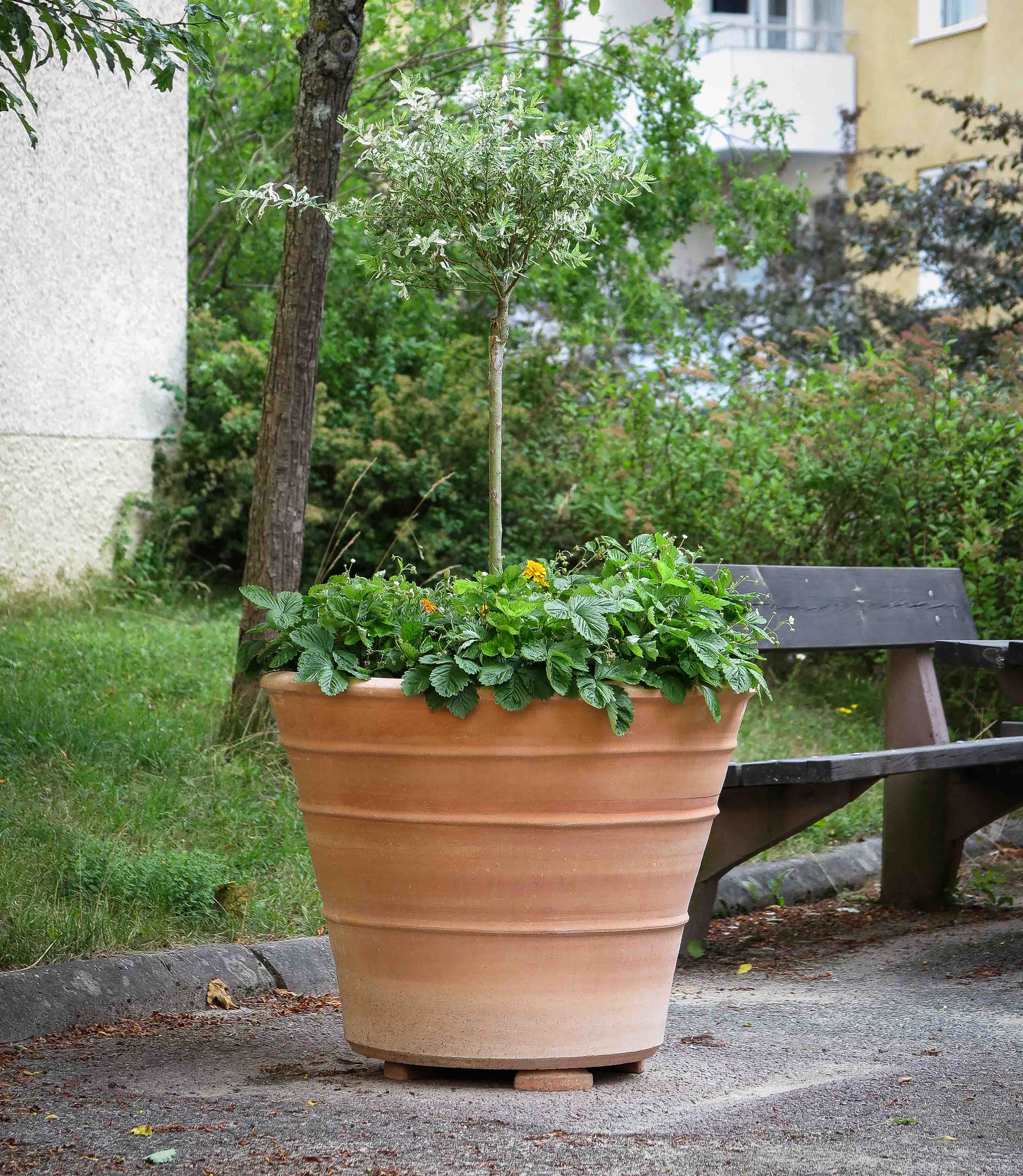 Krukor, terrakottakrukor, utekrukor. se inspirationsbilder & video!