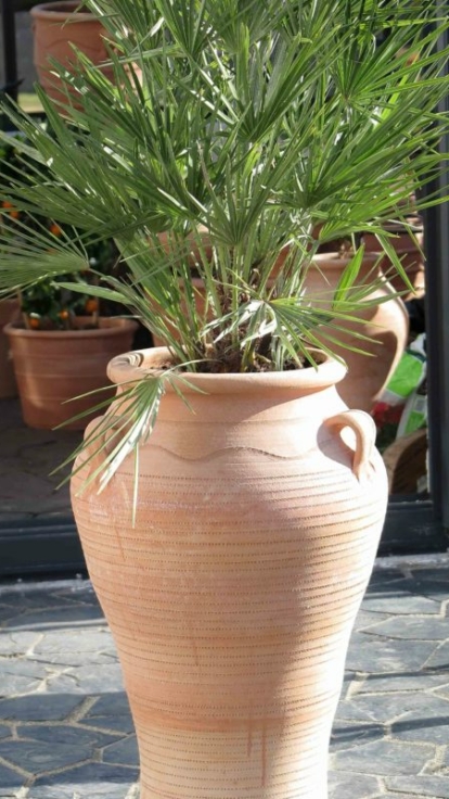 Urnor med patina. Stora urnor av terrakotta. Terrakottaurnor. Urnor och krukor med kvalitet.