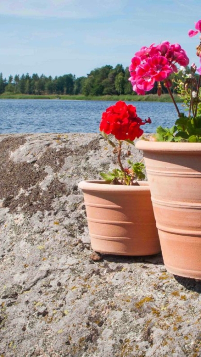 Mindre storlekar av Palamedes Blomkrukor av terrakotta. Terrakottakrukor.