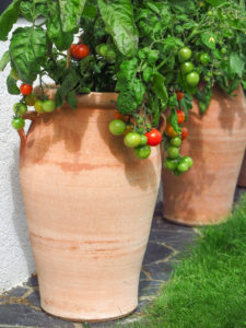 Perfekta tomatkruka som rymmer mer än 20L jord och upptar endast liten yta.